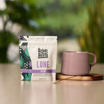 reishi ganoderma lucidum adaptógeno para el descanso